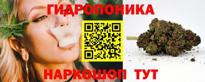 прущие грибы Конаково