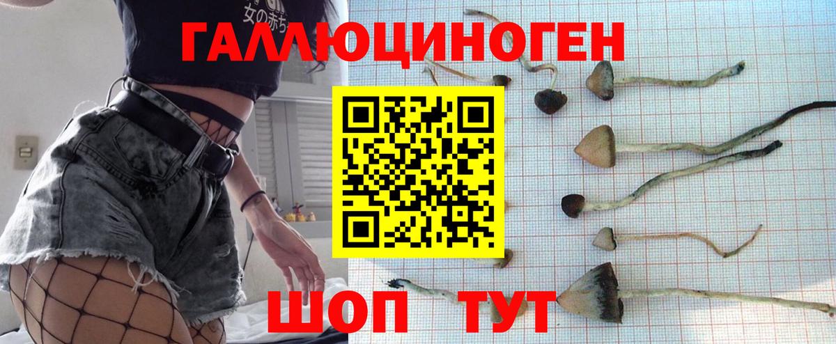 Котельники  Галлюциногенные грибы мухоморы  Псилоцибиновые грибы Psilocybe  Вход с VPN 