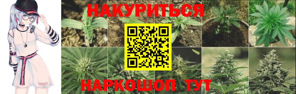 Марихуана Amnesia  Каннабис Amnesia  Вход с VPN  Котельники  Марихуана Bruce Banner 